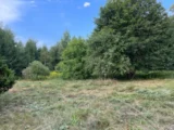 Miniatura 1 – Działka 1,4 ha w Gzinie, gm. Dąbrowa Chełmińska