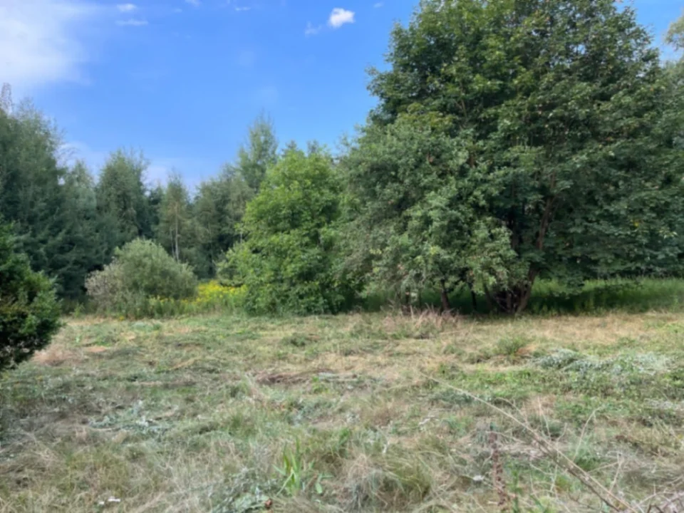 Działka 1,4 ha w Gzinie, gm. Dąbrowa Chełmińska