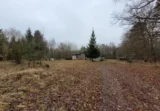 Miniatura 3 – Działka 1,4 ha w Gzinie, gm. Dąbrowa Chełmińska