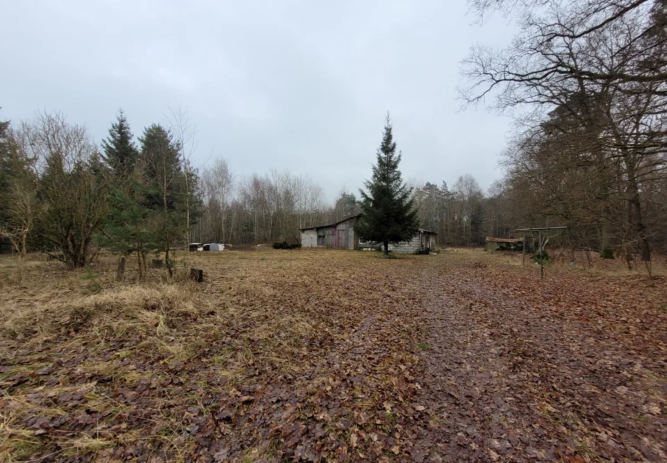Działka 1,4 ha w Gzinie, gm. Dąbrowa Chełmińska