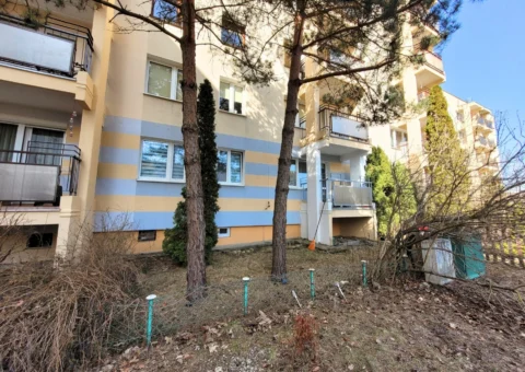 M3, parter, balkon, po generalnym remoncie – zdjęcie 18