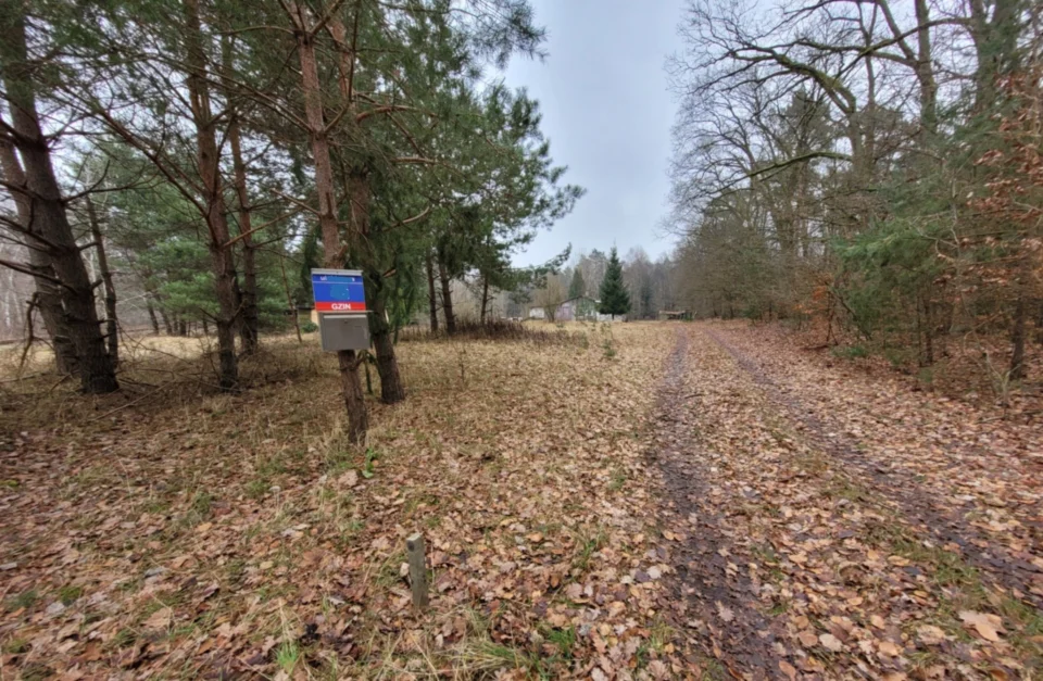 Działka 1,4 ha w Gzinie, gm. Dąbrowa Chełmińska